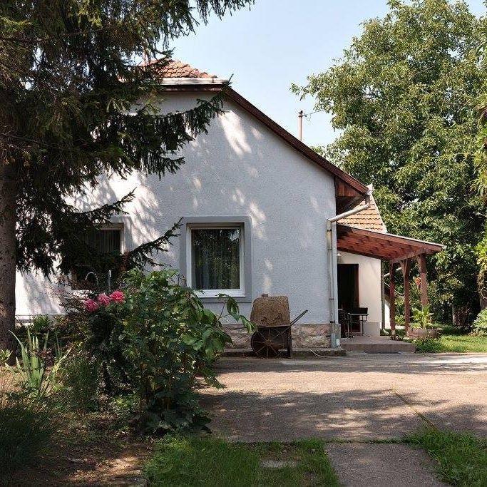 Borostyán 20